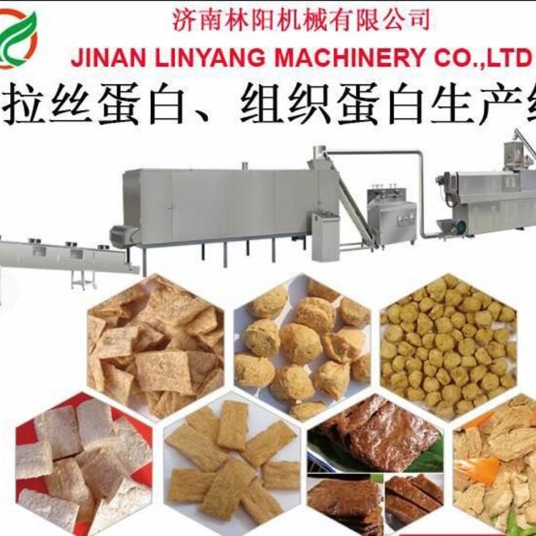 大豆拉丝蛋白 组织蛋白生产设备  组织蛋白生产机械