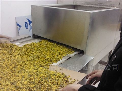 微波干燥杀菌设备  微波干燥杀菌机械设备