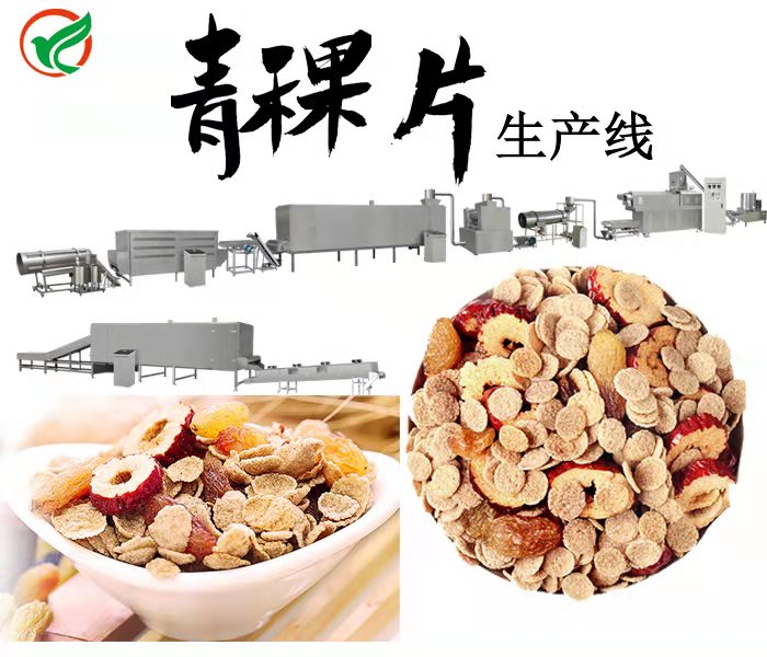 杂粮片加工设备燕麦片生产机械  杂粮片加工机械