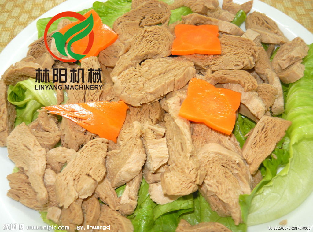 林阳机械 拉丝蛋白组织蛋白生产线  拉丝蛋白生产线  拉丝蛋白设备