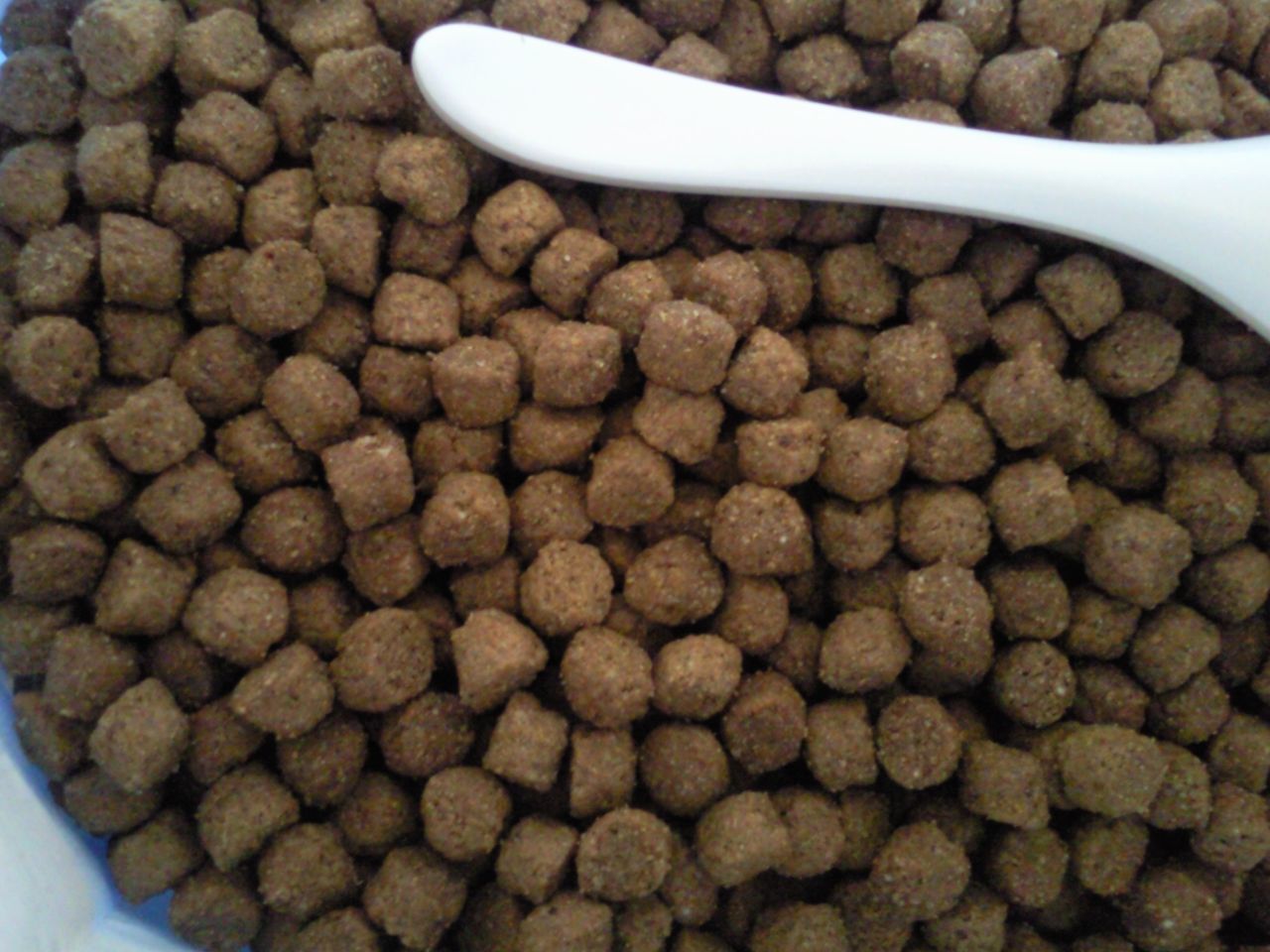 鱼饲料全套生产设备 水产饲料生产线  饲料生产设备  饲料生产机械