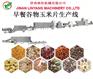 谷物米生产线杂粮米生产设备