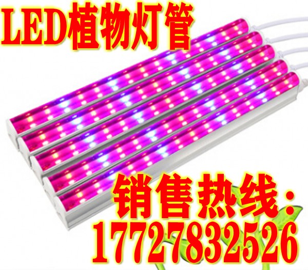 山东LED植物育苗补光灯 山东LED育苗补光灯