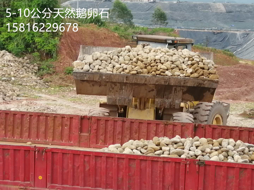 广东鹅卵石 鹅卵石批发 鹅卵石价格