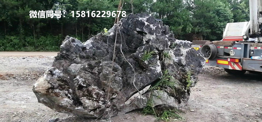 园林假山造景石 鱼池驳岸石 大英石进出口韩国  外贸大英石进出口韩国