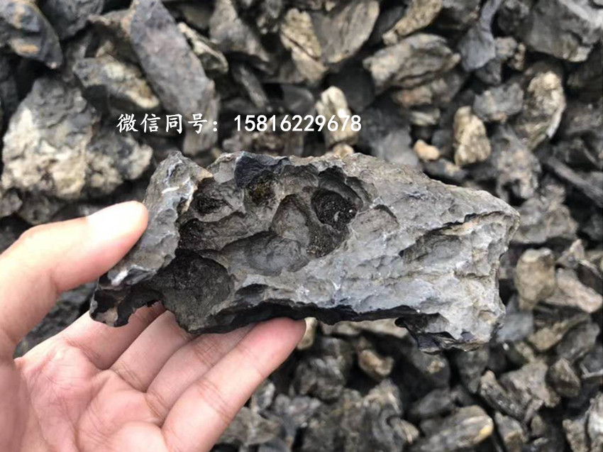 青龙石原产地在哪里 枯山水造景石 青龙石规格是多少