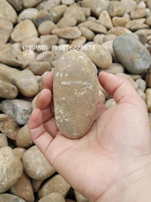 佛山天然鹅卵石批发 鹅卵石价格是多少 园林铺路卵石  园林铺路鹅卵石