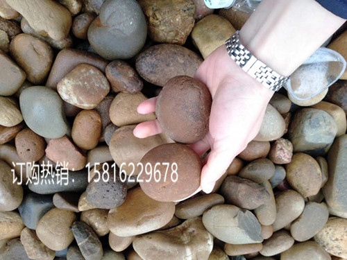 佛山天然鹅卵石批发 鹅卵石价格是多少 园林铺路卵石  园林铺路鹅卵石