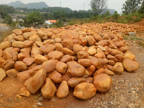 小区黄蜡石假山案例 园林造景石 广东黄蜡石批发