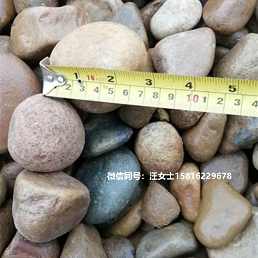 园林铺路小石子 盆栽园艺鹅卵石 清远河道开采小河石
