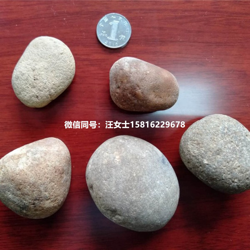 园林铺路小石子 盆栽园艺鹅卵石 清远河道开采小河石