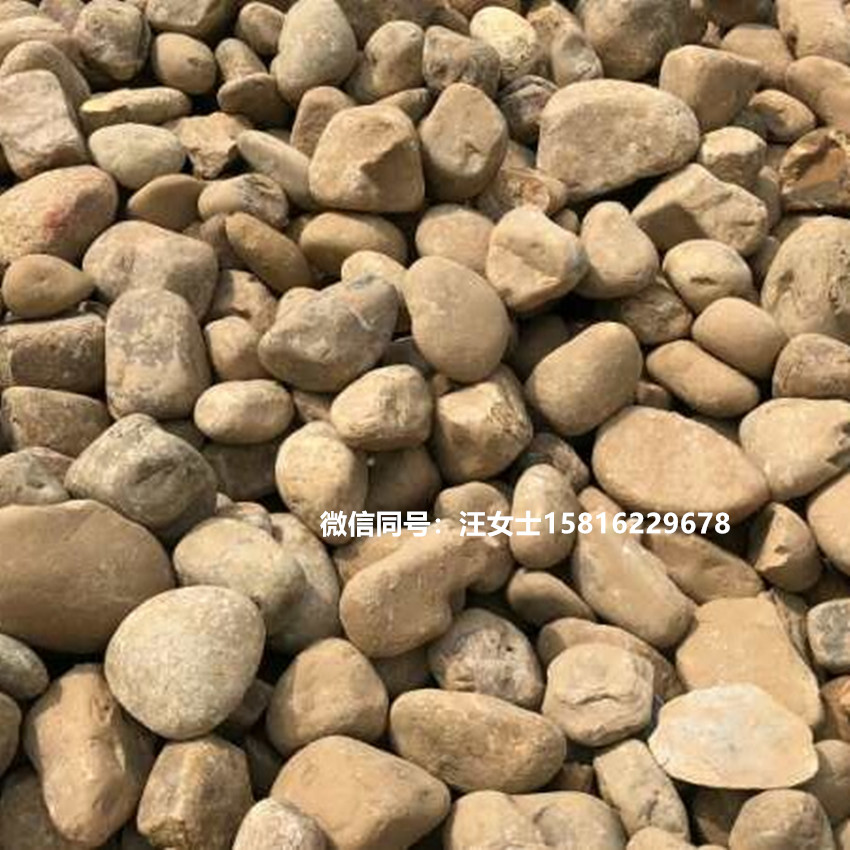 园林铺路小石子 盆栽园艺鹅卵石 清远河道开采小河石