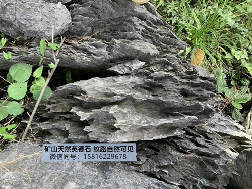 低价大型直销黄蜡石 工程石驳岸石 小区黄蜡石效果图