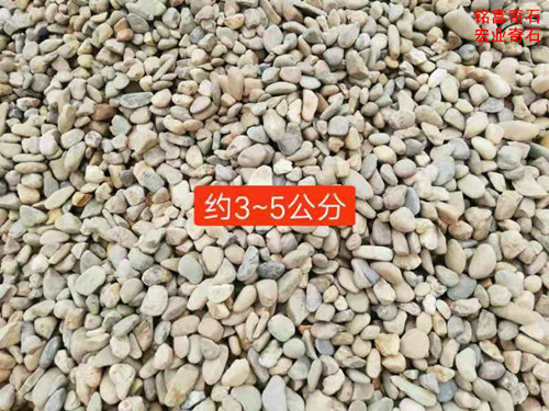 5至8公分天然鹅卵石 广东鹅卵石厂家 铺路小石子批发