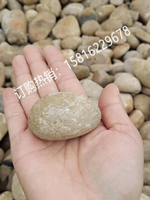 5至8公分天然鹅卵石 广东鹅卵石厂家 铺路小石子批发