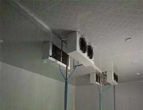 芜湖气调冷库建设成本表 高效节能低温冷库安装施工方案 双温冷库 冷库压缩机 实验冷库