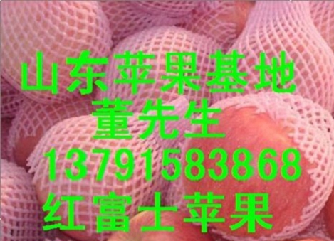 山东红富士苹果产地什么价格  红富士苹果价格