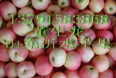 山东红富士苹果产地什么价格  红富士苹果价格