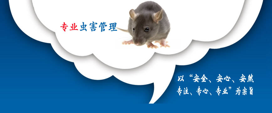 合肥安然除虫服务有限公司