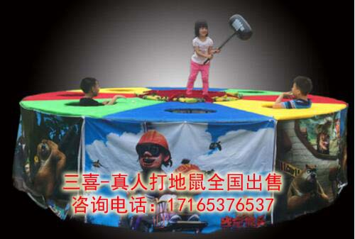 不想购买想租赁大型打地鼠的看过来&nbsp;&nbsp;打地鼠价格&nbsp;&nbsp;打地鼠多少钱