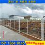 高速公路护栏现货 湛江防盗网批发
