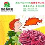 近期干辣椒批发市场行情分析－匡老五辣业
