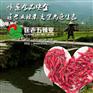 匡老五辣业丨干辣椒行情及市场动态