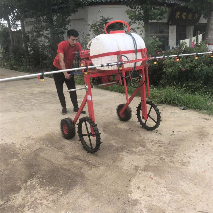 南平,矮化管理喷药机 康顺供应  果树打药  蔬菜打药机