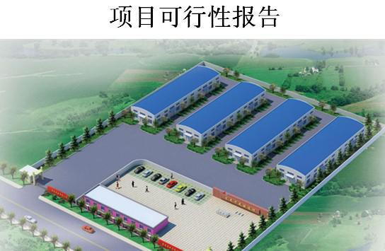 可行性研究报告-天津编写公司全国代写  可行性报告  稳定风险分析报告