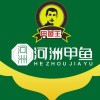 温室甲鱼价格多少钱一斤？