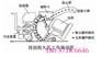 玉林市清砂抛丸机多少钱一台操作简单