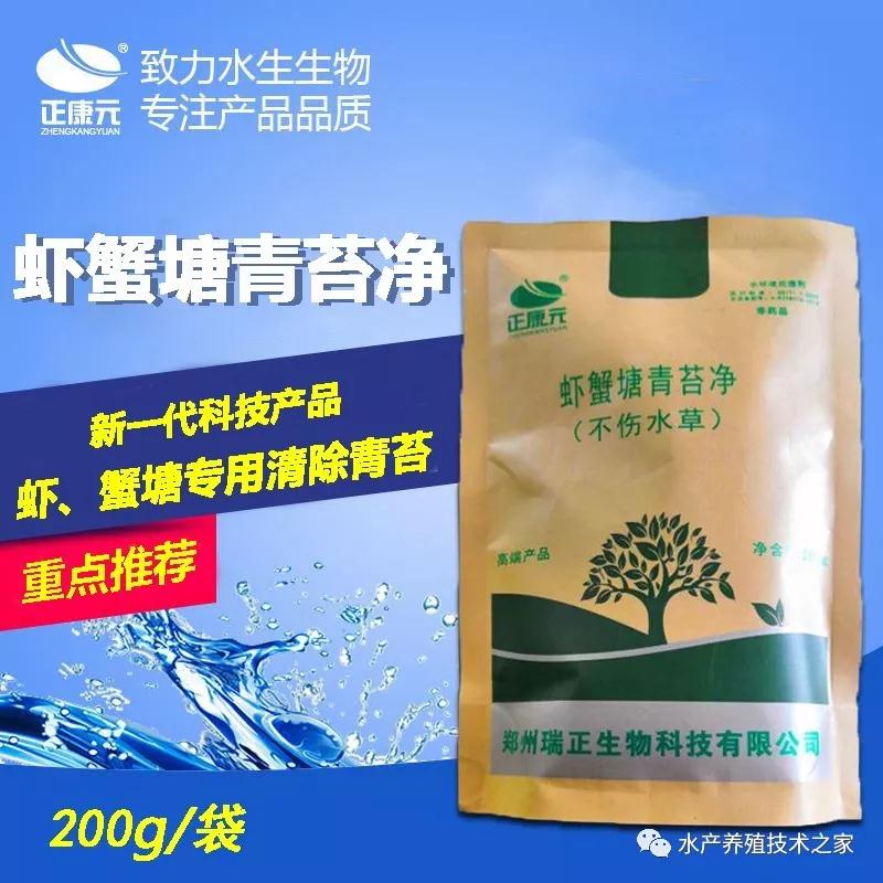 塘里为什么会长青苔有什么坏处？怎么解决青苔  水瘦  塘里有青苔
