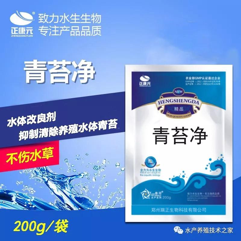 塘里长青苔了怎么办
