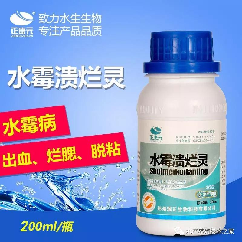 鱼体长白毛，溃烂，是白毛病吗