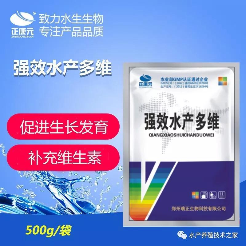 我的鱼长势慢，怎么让鱼长的快点，上市早点  维生素  促生长