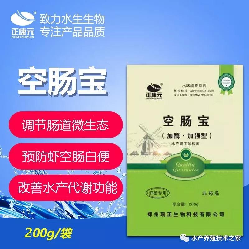 虾子的白便空肠空胃的怎么预防治疗  空肠白便  不开口吃料