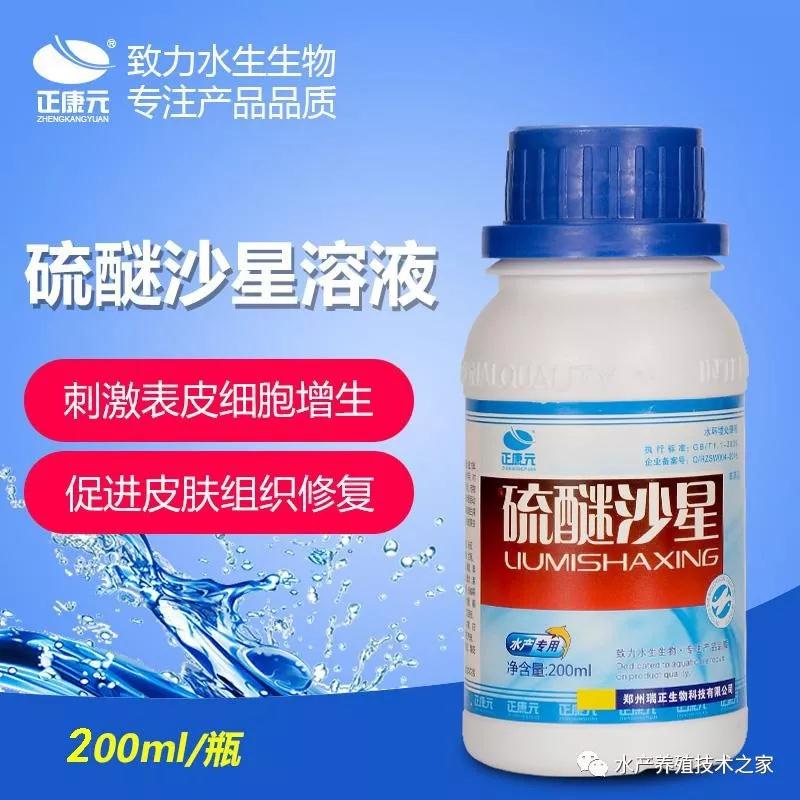 鱼体溃烂，虾蟹塘里有蚂蟥水蛭怎么解决  长白毛