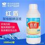虾蟹黑鳃白斑病？白对虾红须红头怎么办