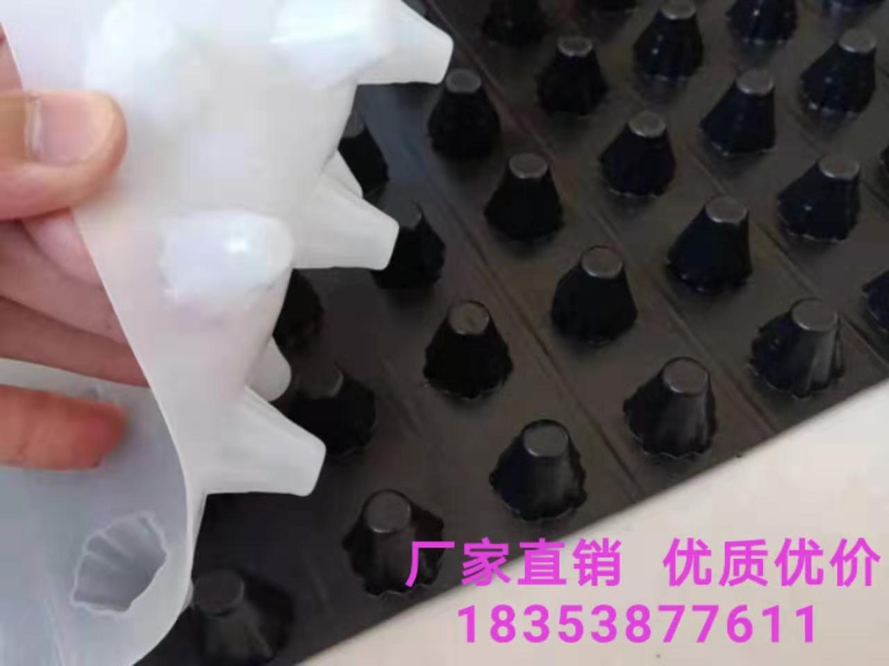 供应%驻马店车库阻根排水板=12高地下室疏水板  驻马店车库排水板  驻马店阻根排水板  驻马店地下室疏水板