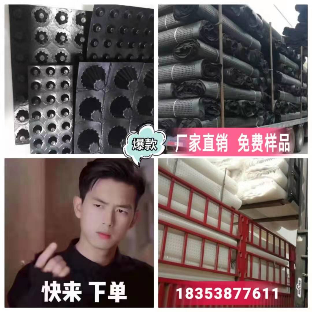 2公分塑料排水板福建/龙岩车库顶板蓄排水板  福建 2公分排水板  福建塑料排水板  龙岩车库蓄排水板