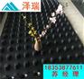 佛山H18塑料疏水板25高车库排水板价格