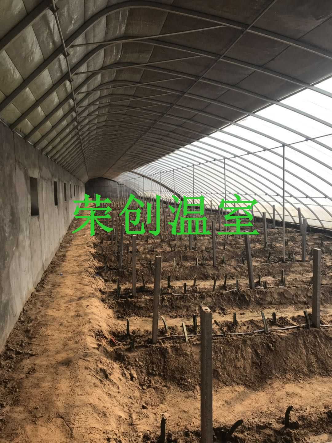 【陕西大棚】山阳县塑料大棚的结构特点 塑料大棚支架&nbsp;&nbsp;塑料大棚结构