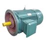 高效率电动机YE2四极三相异步电动机0.55KW