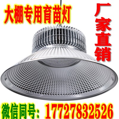 河北led火龙果补光灯