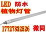 北京led补光灯