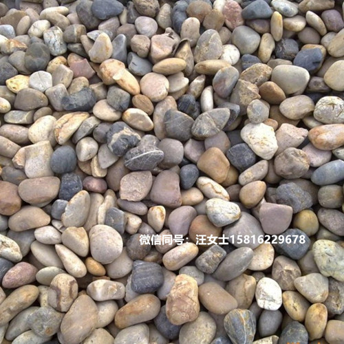 公共建筑鹅卵石 铺设路面鹅卵石 园林艺术鹅卵石