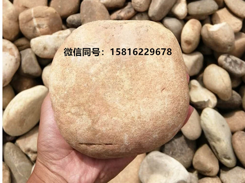 公共建筑鹅卵石 铺设路面鹅卵石 园林艺术鹅卵石