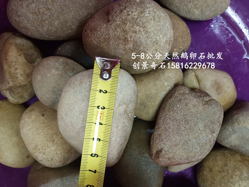 天然卵石批发价格 园林铺路鹅卵石 变压器鹅卵石