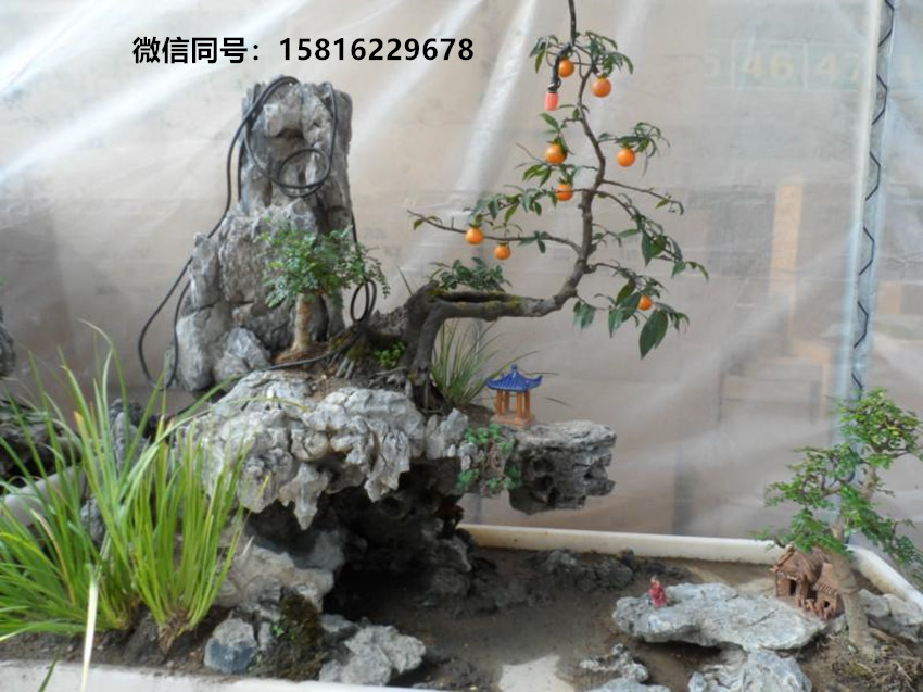 园林天然英石峰石 精品优质英石批发 庭院英石假山