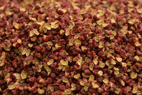 产地直销正宗精品茂汶大红袍花椒火锅家常用花椒批发  茂汶红花椒  茂汶花椒批发